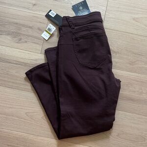 Dark Burgundy Skinny Jeans